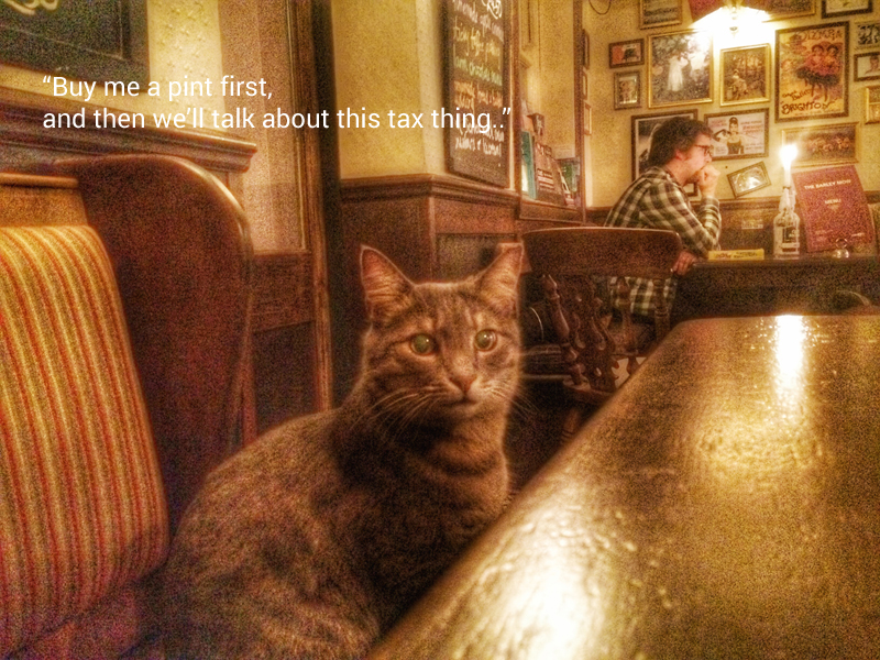 Cat in a pub moment