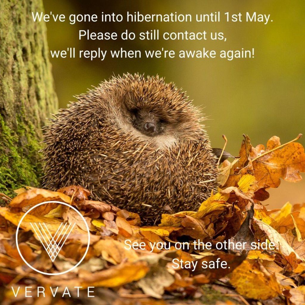 hedgehog hibernating with text over